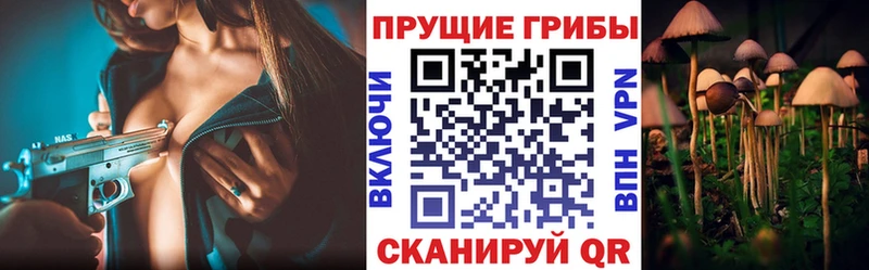 мега ссылки  магазин продажи наркотиков  Луховицы  Галлюциногенные грибы GOLDEN TEACHER 